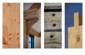 What Is The Best Wood For Timber Framing? | Carolina Timberworks