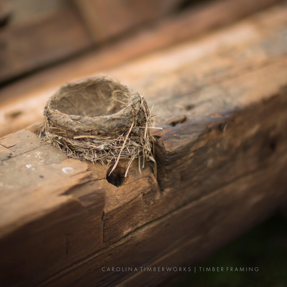 hand hewn barn timber